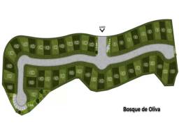 Lote Bosque de Oliva 1-21 