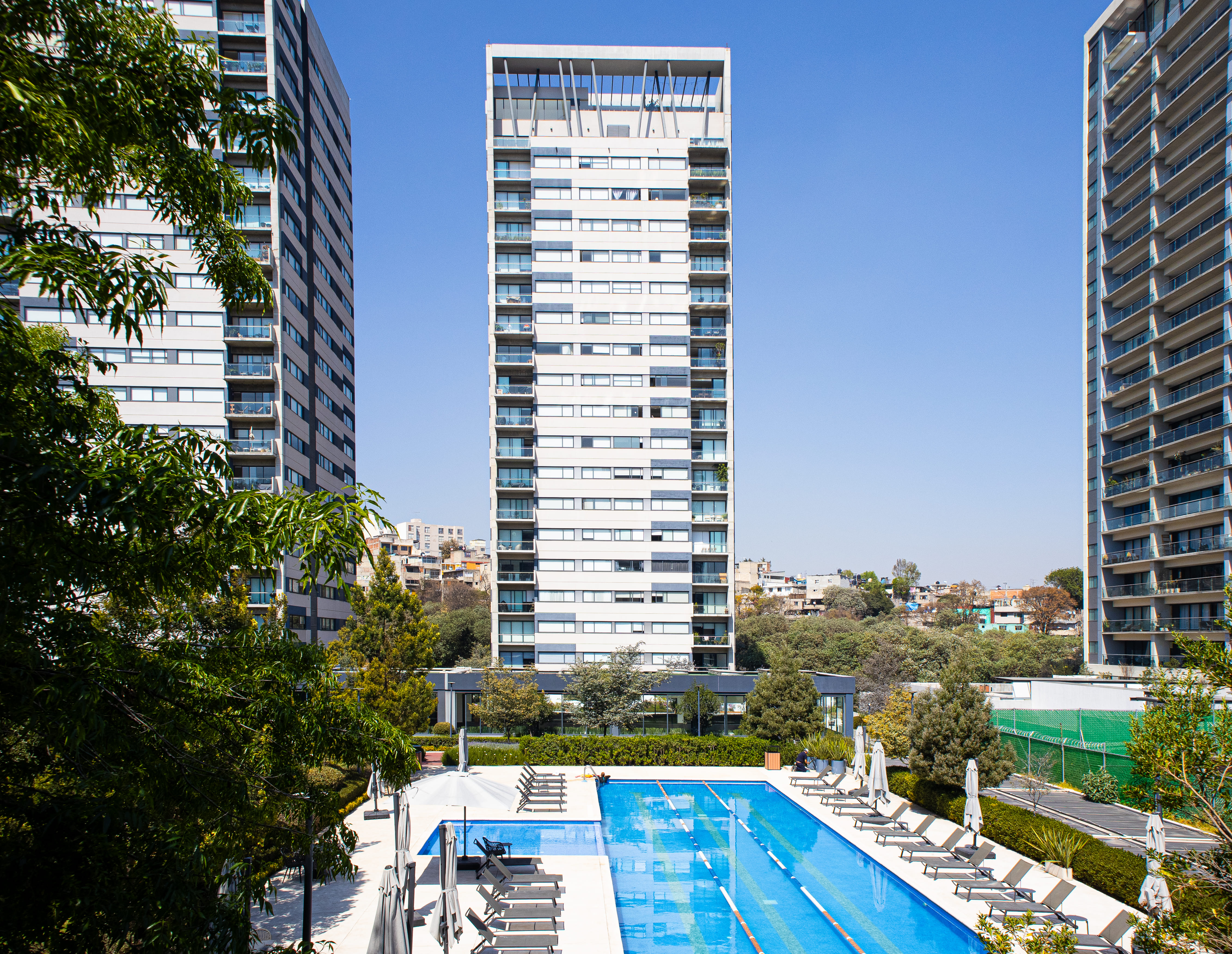 maranta_bosques