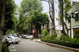 Image  0