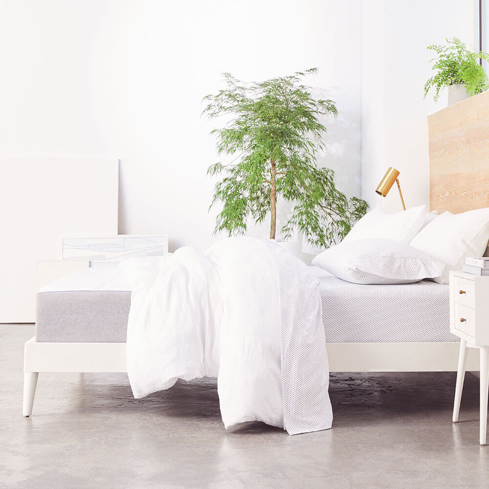 OSGO HOME Art Painting