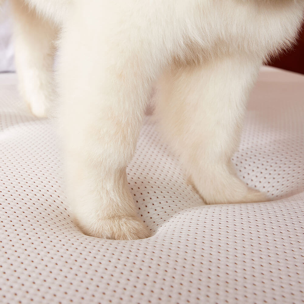 OSGO HOME Art Painting